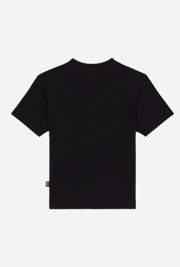 DICKIES DK0A4ZAOBLK1