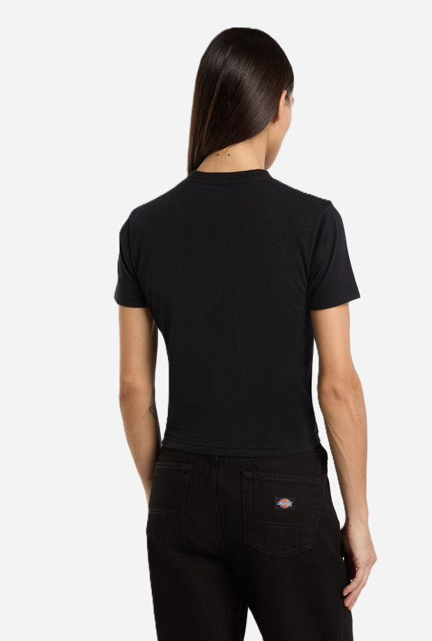 DICKIES DK0A4ZAOBLK1