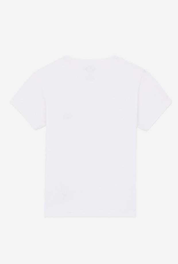 DICKIES DK0A87QB0WH1