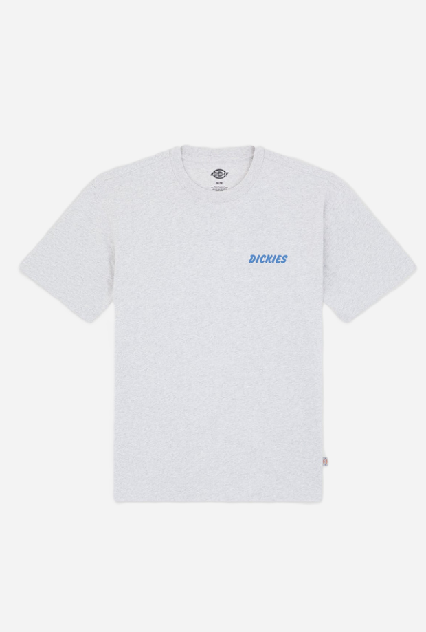 DICKIES DK0A8853A281