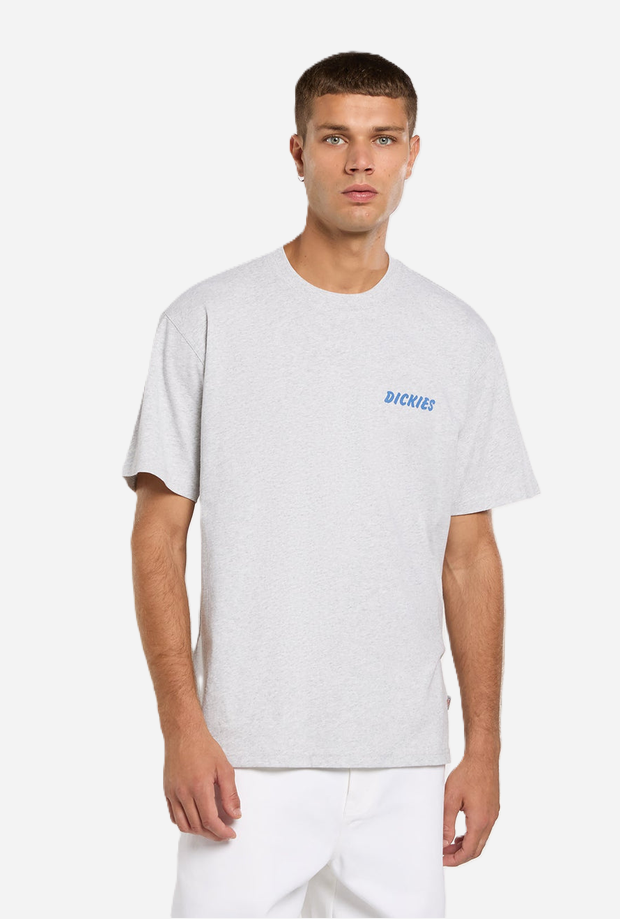 DICKIES DK0A8853A281