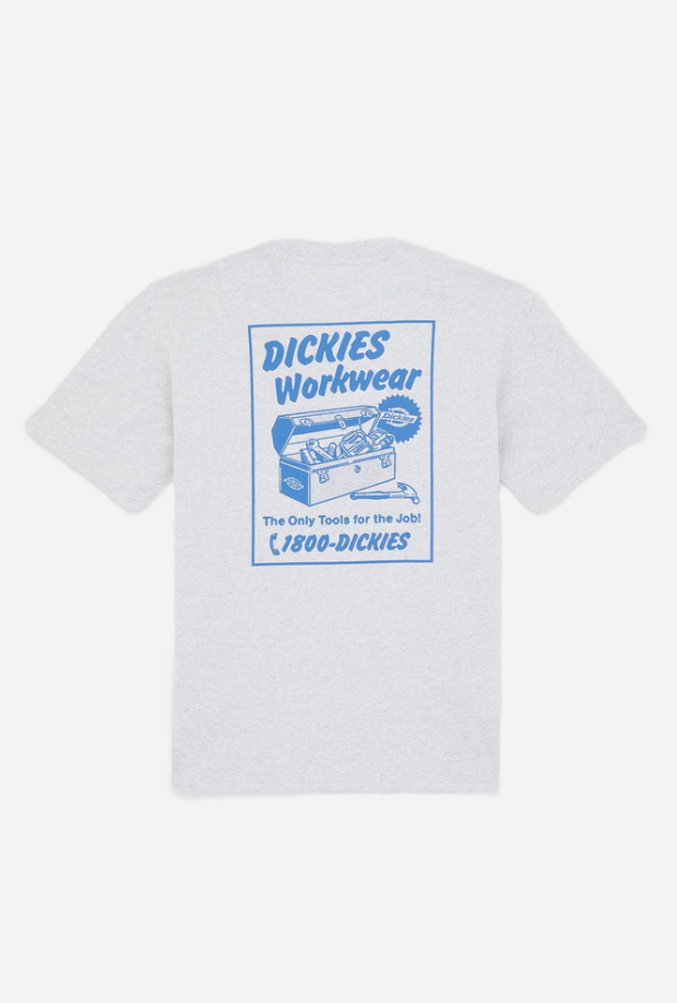 DICKIES DK0A8853A281