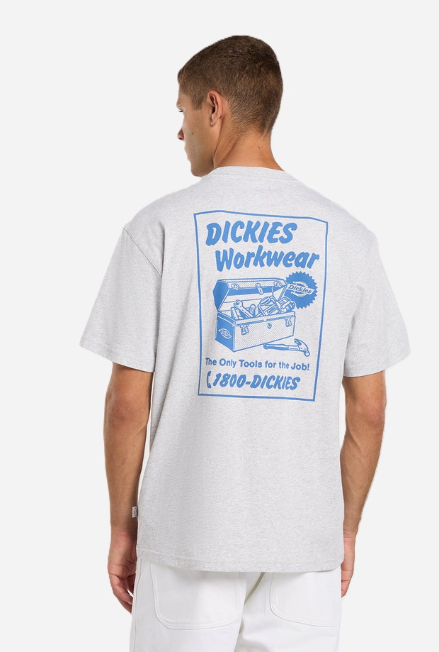 DICKIES DK0A8853A281