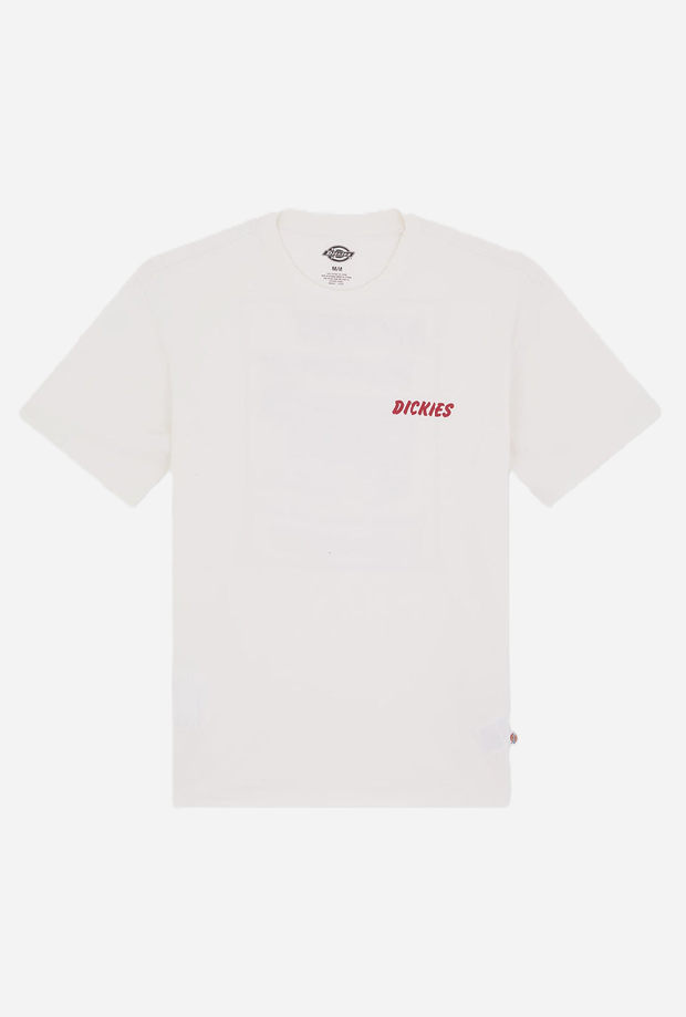 DICKIES DK0A8853C481