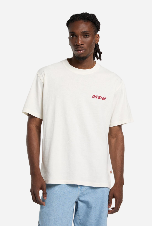 DICKIES DK0A8853C481