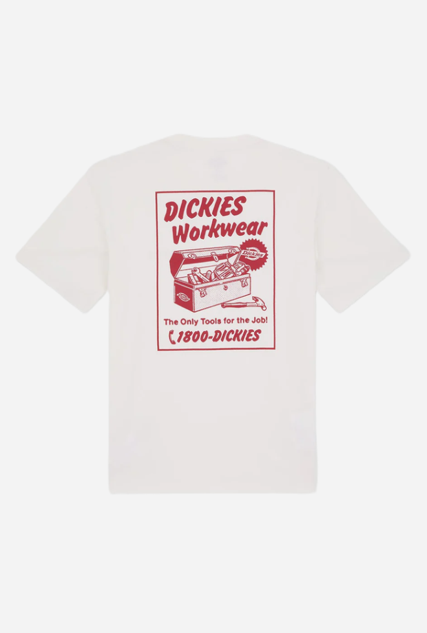 DICKIES DK0A8853C481