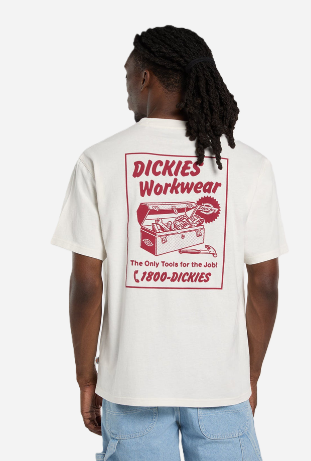 DICKIES DK0A8853C481