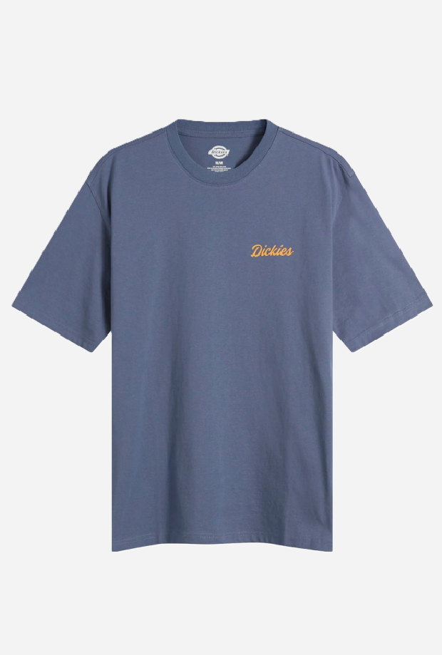 DICKIES DK0A8886RI21