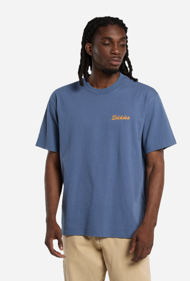 DICKIES DK0A8886RI21