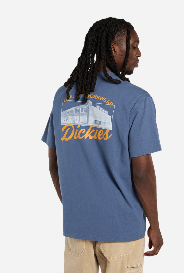 DICKIES DK0A8886RI21
