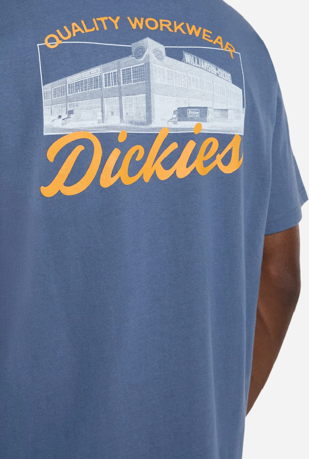 DICKIES DK0A8886RI21