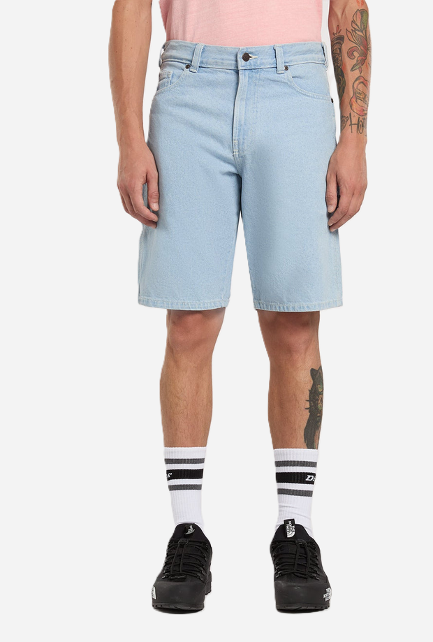 DICKIES DK0A88FCC151