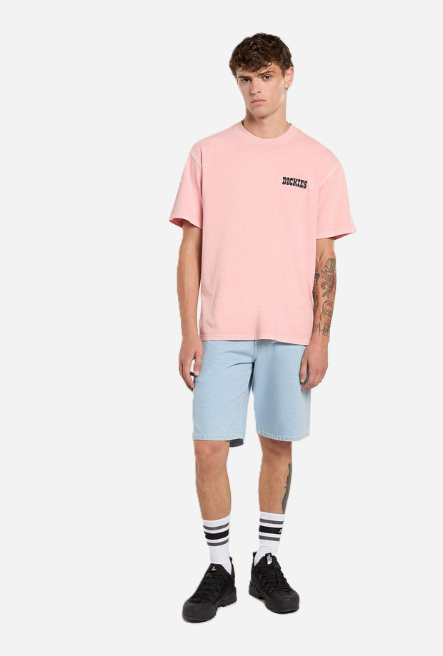 DICKIES DK0A88FCC151