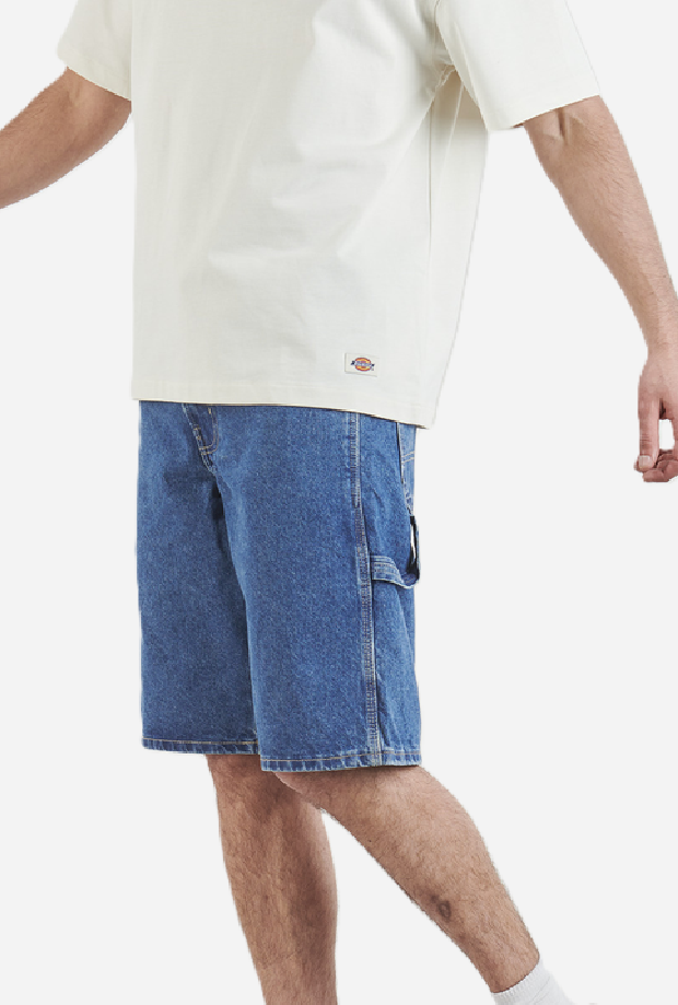 DICKIES DK0A88FCCLB1