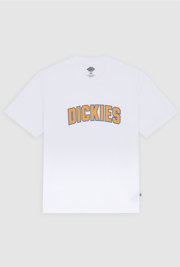 DICKIES DK0A88GL0WH1