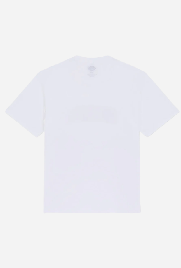 DICKIES DK0A88GL0WH1