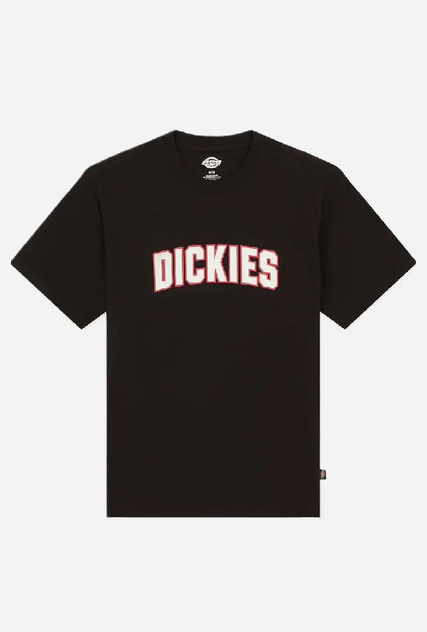 DICKIES DK0A88GLBLK1
