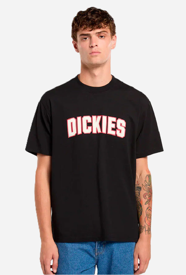 DICKIES DK0A88GLBLK1