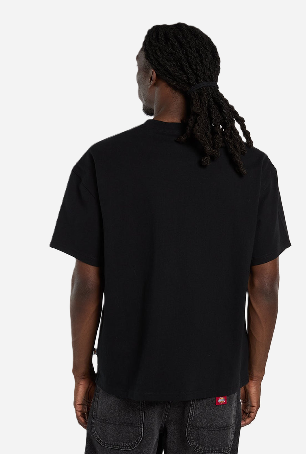 DICKIES DK0A88JGBLK1