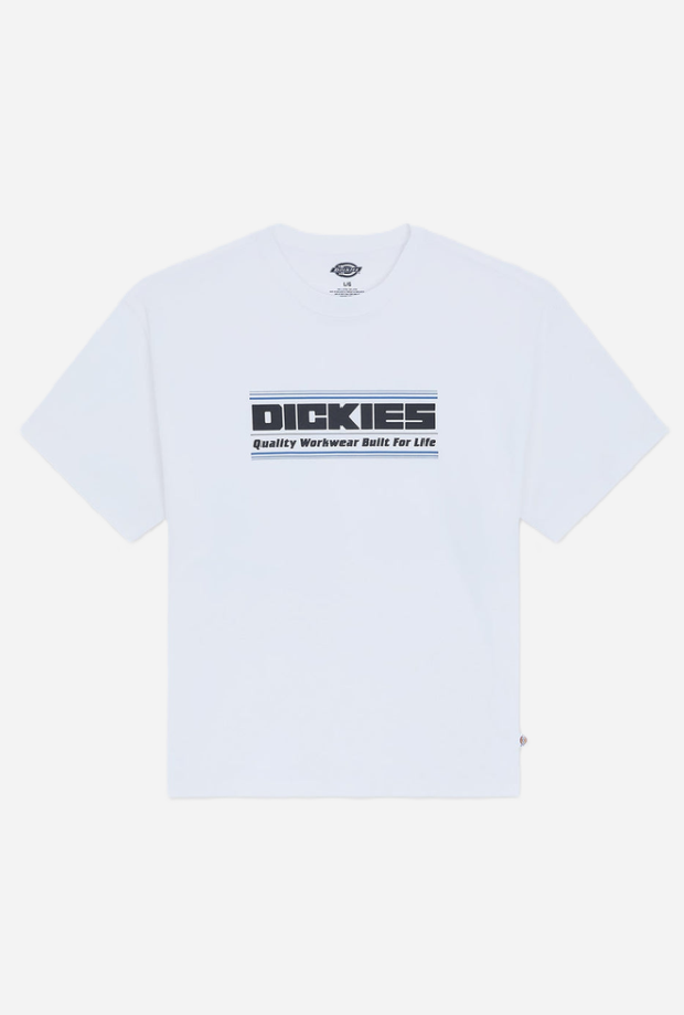DICKIES DK0A88JGWHX1