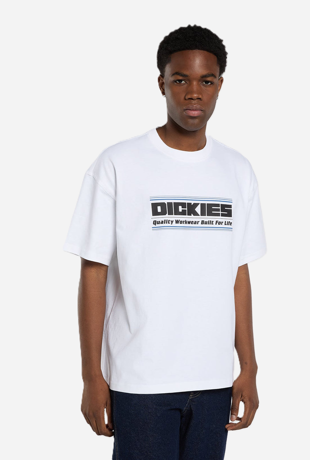 DICKIES DK0A88JGWHX1