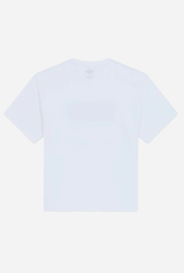 DICKIES DK0A88JGWHX1