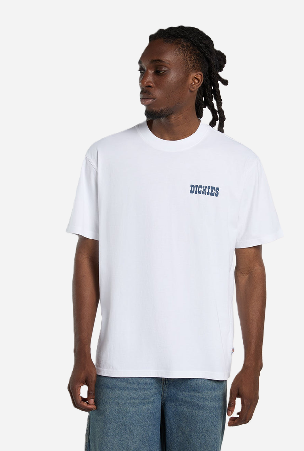 DICKIES DK0A88JI0WH1