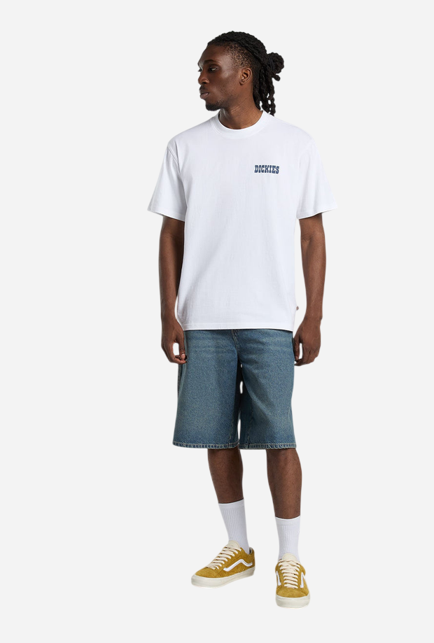 DICKIES DK0A88JI0WH1