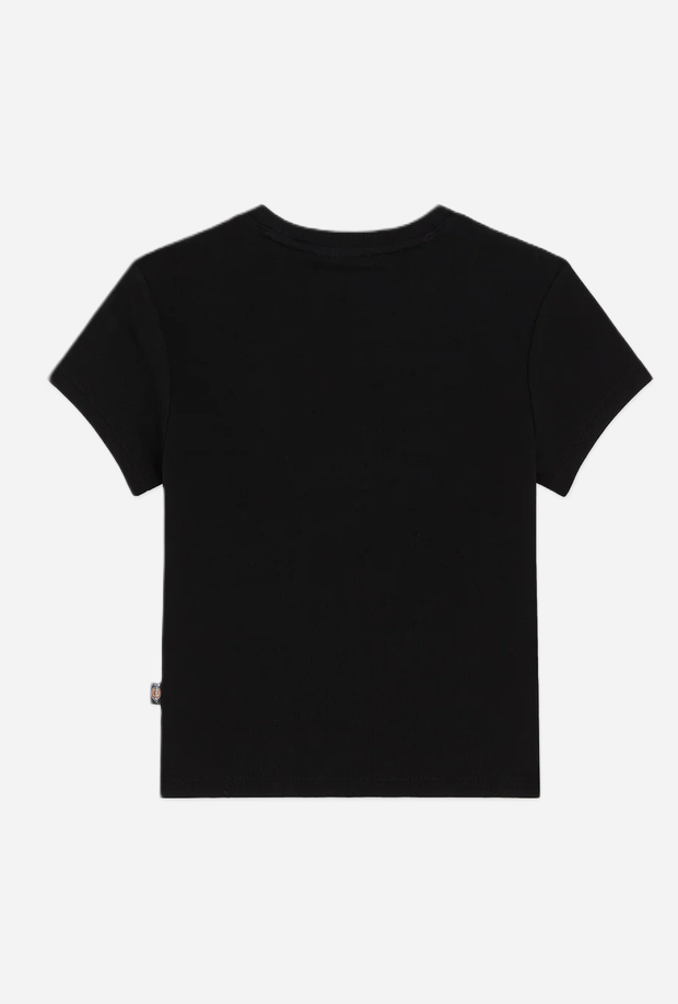 DICKIES DK0A88JTBLK1
