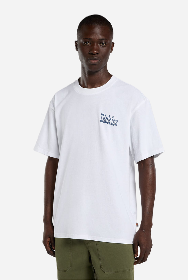 DICKIES DK0A88JV0WH1