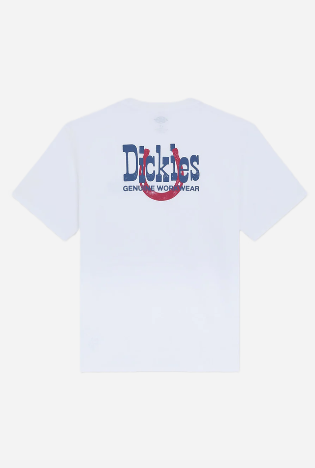 DICKIES DK0A88JV0WH1