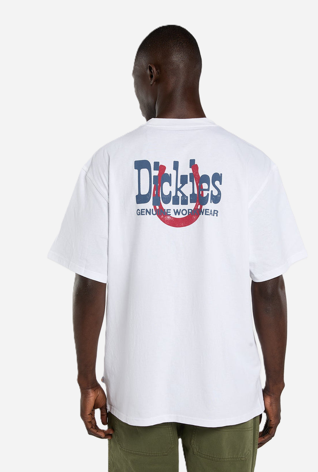 DICKIES DK0A88JV0WH1