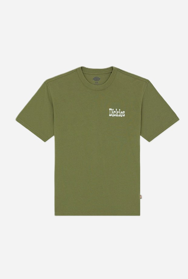 DICKIES DK0A88JVK721