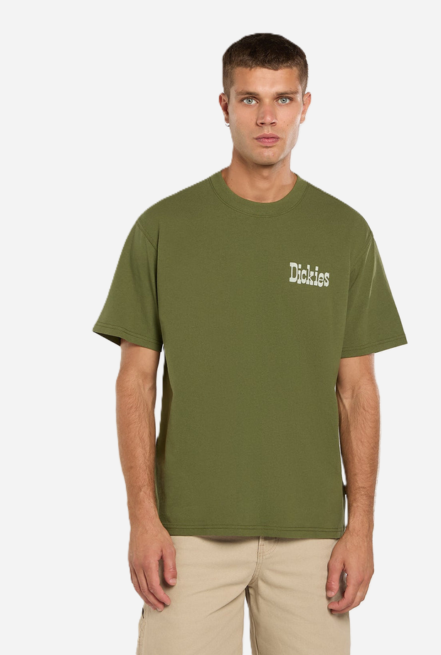 DICKIES DK0A88JVK721