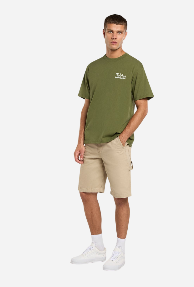 DICKIES DK0A88JVK721
