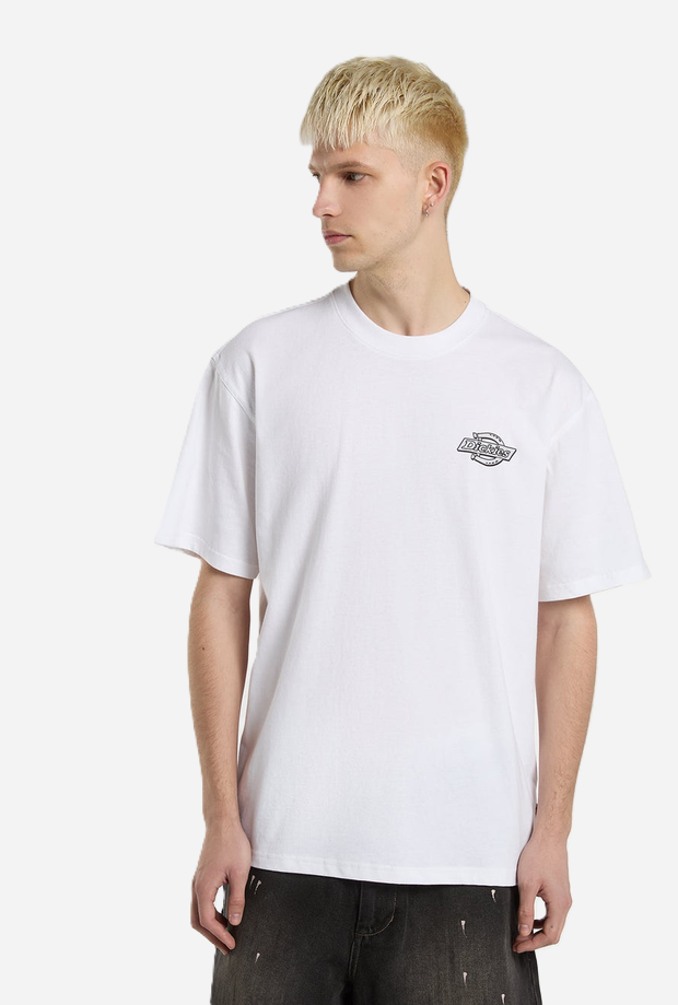 DICKIES DK0A88JW0WH1