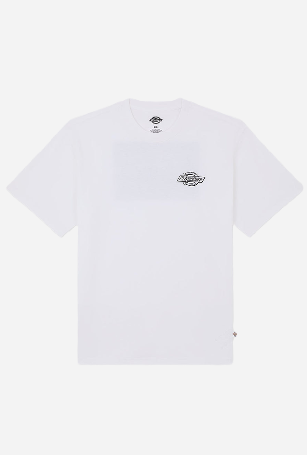 DICKIES DK0A88JW0WH1