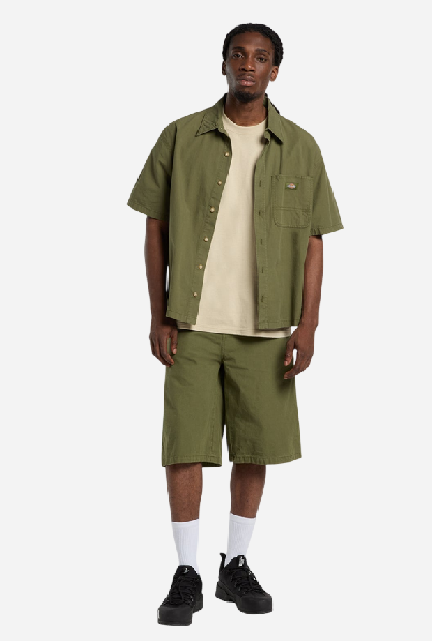 DICKIES DK0A88O8K721