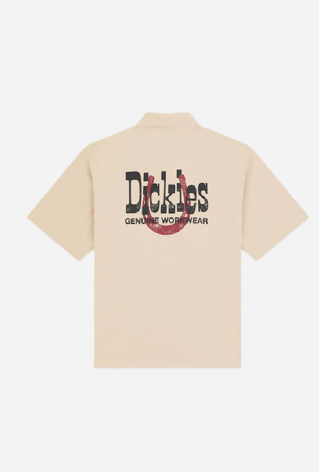 DICKIES DK0A88O8L171