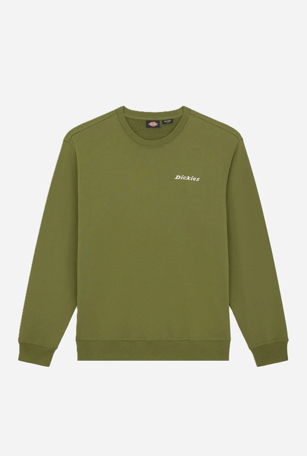 DICKIES DK0A88OCK721