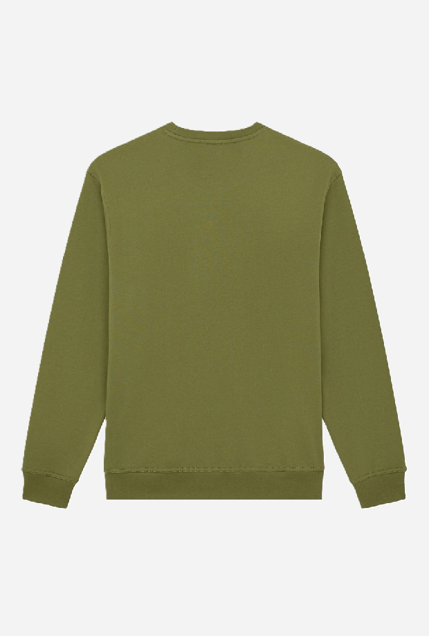 DICKIES DK0A88OCK721