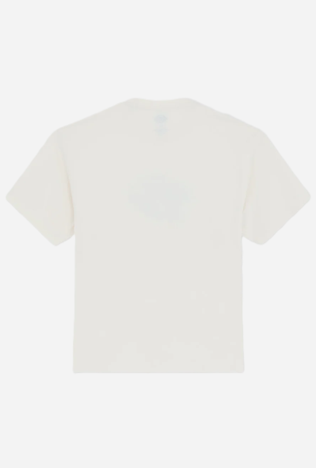 DICKIES DK0A88PDC481