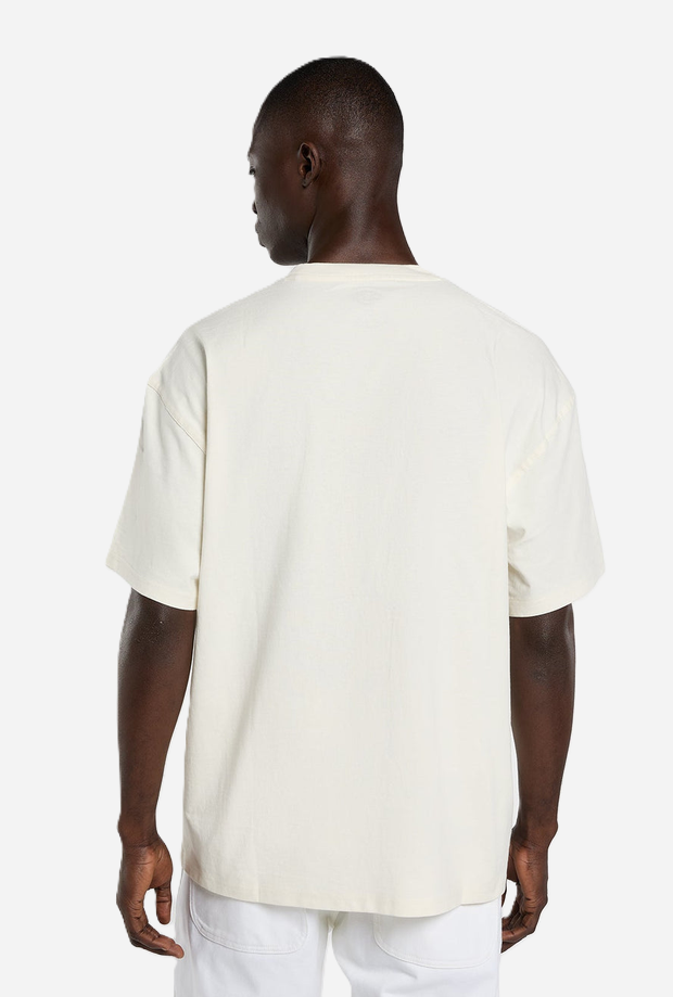 DICKIES DK0A88PDC481