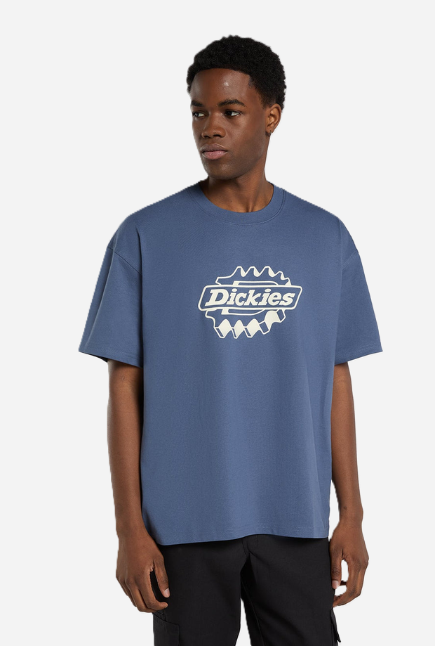 DICKIES DK0A88PDRI21