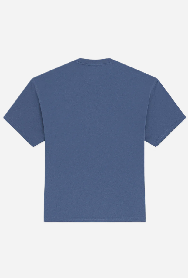 DICKIES DK0A88PDRI21