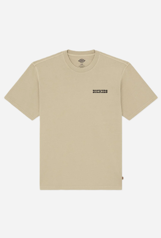 DICKIES DK0A88QQL441