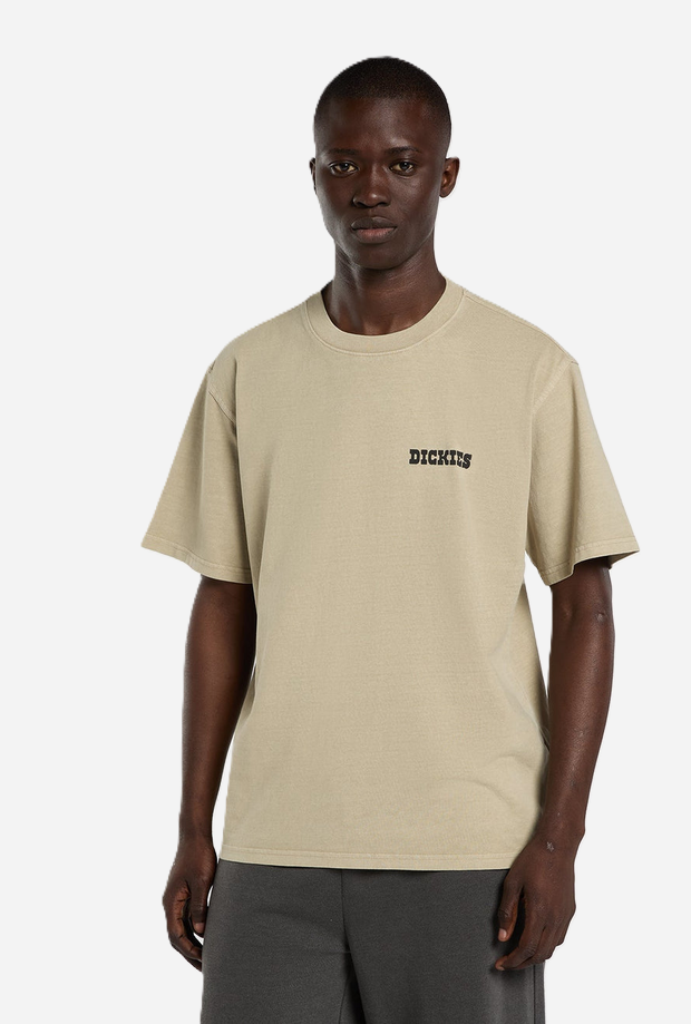 DICKIES DK0A88QQL441