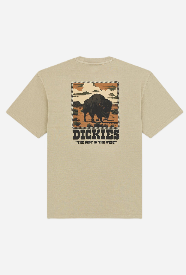 DICKIES DK0A88QQL441