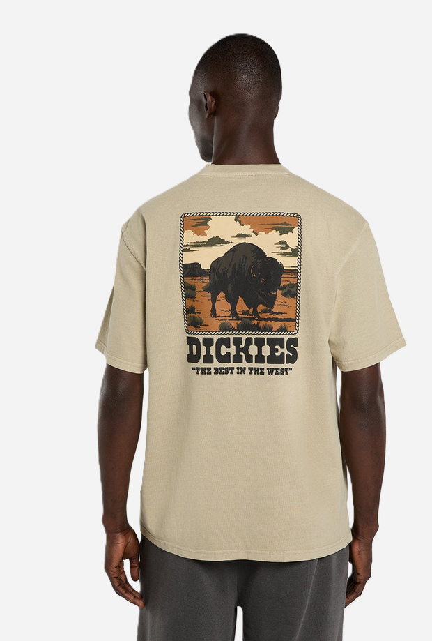 DICKIES DK0A88QQL441