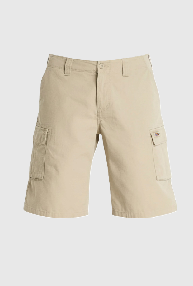 DICKIES DK0A89EFKHK1